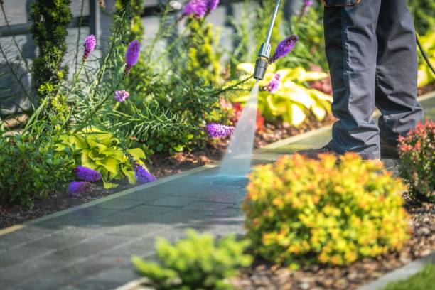  Lampeter, PA Pressure Washing Pros